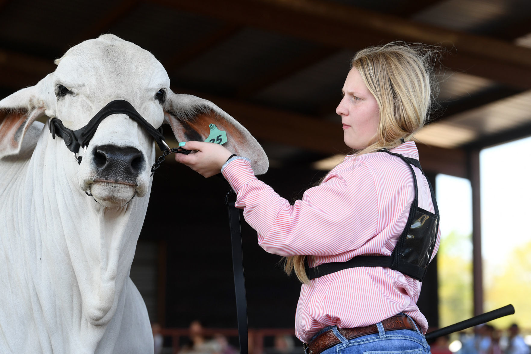 BTHO Coronavirus show